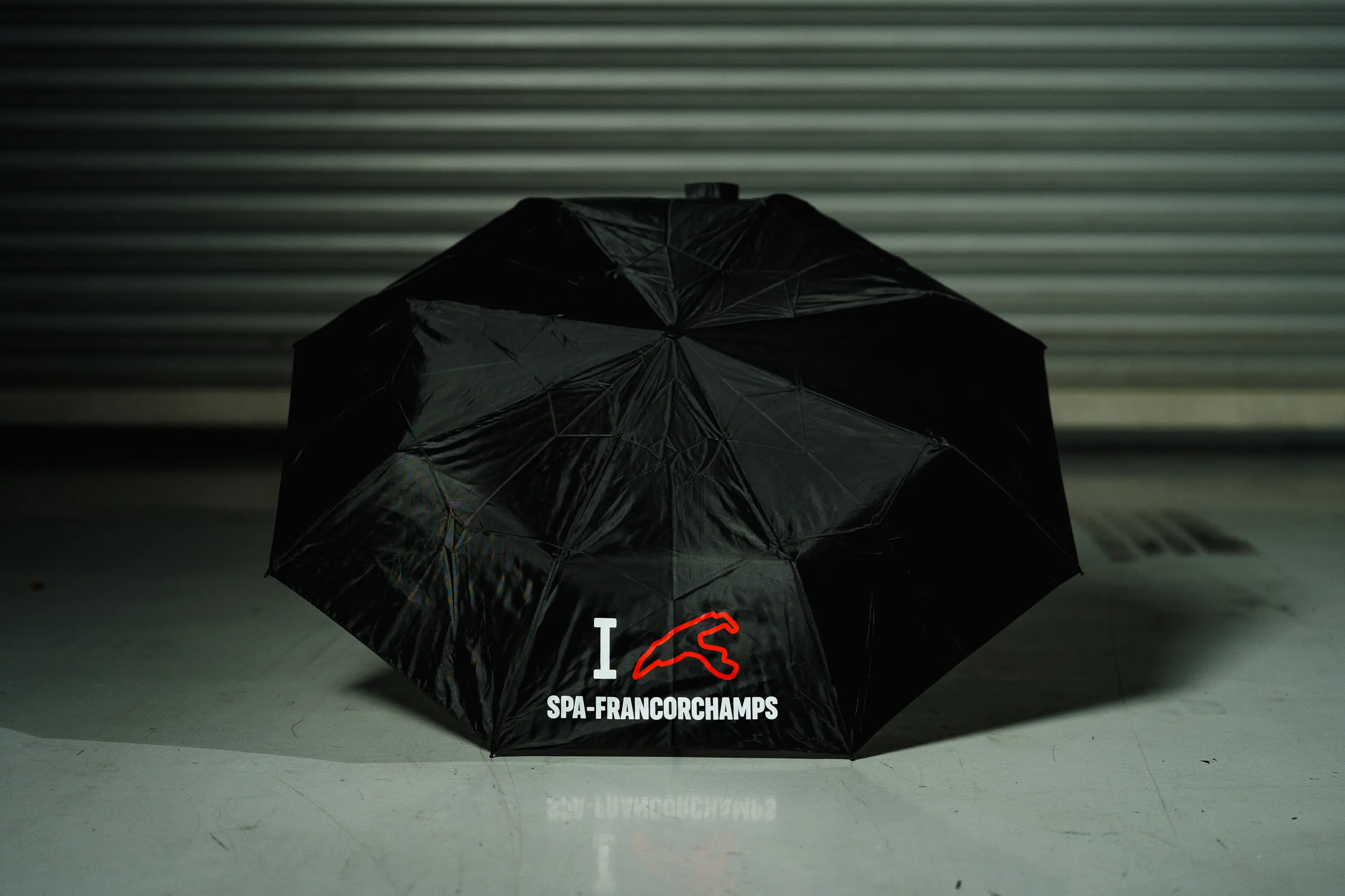 Basic - Parapluie "I Love S-F"